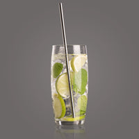 Stainless Steel Straw set of 4 with Brush